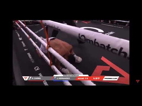 Irish Steven cairns vs Jose Hernandez knockout highlights 💥👊🏻