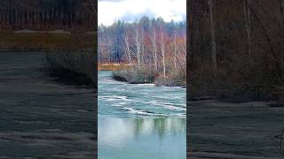 Download lagu ♫   'Albatrosz (Chopin:  Noktürn)'-   Szentpéteri Csilla mp3