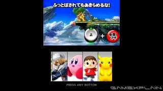Super Smash Bros 3DS Demo: Tutorial & Sample Battle