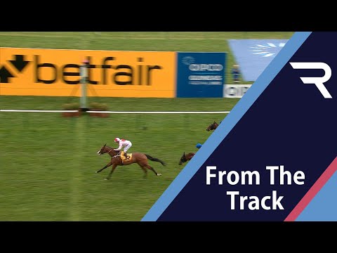 SHOCK RESULT! 2/9 favourite Yibir is beaten by the tough as teak Living Legend - Racing TV