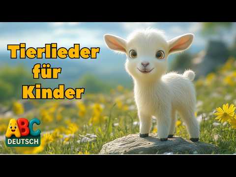 Lustige Tierlieder für Kinder 🐻🦁🐑 | Tiere lernen & mitsingen!