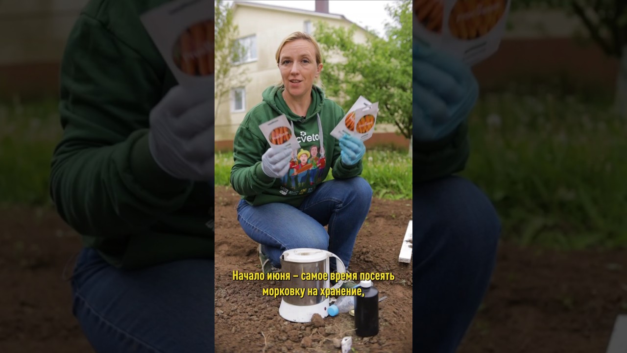 Морковь взойдет быстро и дружно! Простой способ посева на богатый урожай