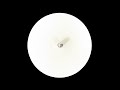 Ron Hagen Pascal M On Stream 2000