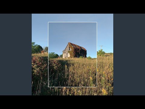 beautiful still (alt)