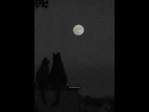 Bzi Tochhawng - Ka Lungdum Pâr Mâwi Tê | Acoustic (Cover)