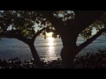 Julia - The Beatles (Cover) by Chocolate Genius in HQ & HD