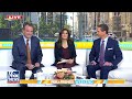 HYSTERICAL: Hosts LOSE IT over Kamala Harris possible presidential run - Video
