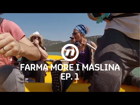 Farmeri dolaze - Epizoda 1 | Farma More i Maslina