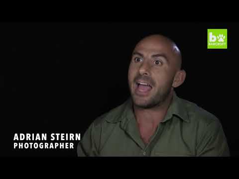 The ‘Pangolin Men’ Saving The World’s Most Trafficked Mammal