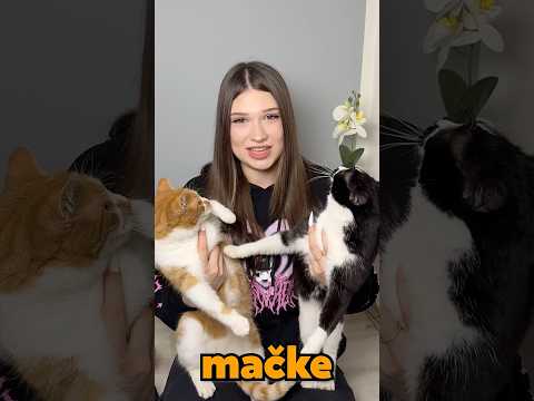 POKLONI ZA MOJE MACKE