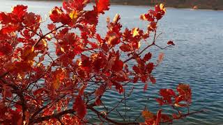 D'Ici et d'Ailleurs s'attaque à Vanessa Da Mata et Ben Harper !