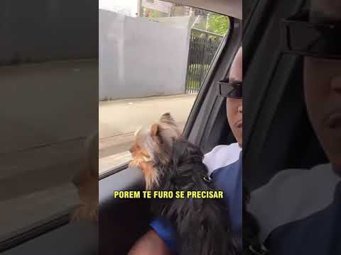 Major RD - Exodia (prévia)