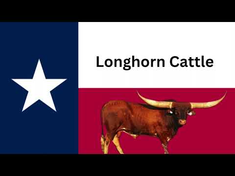 , title : 'Texas History | Texas Longhorn Cattle'