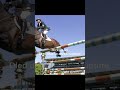 How Famous Horses Died Sorry For Cut Off Heads Lol