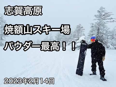 【焼額山スキー場】志賀高原はパウダー祭りでした！！