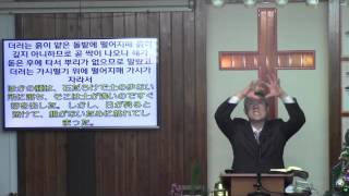 2017년 1월1일 「혹 백 배, 혹 육십 배, 혹 삼십 배의 결실」