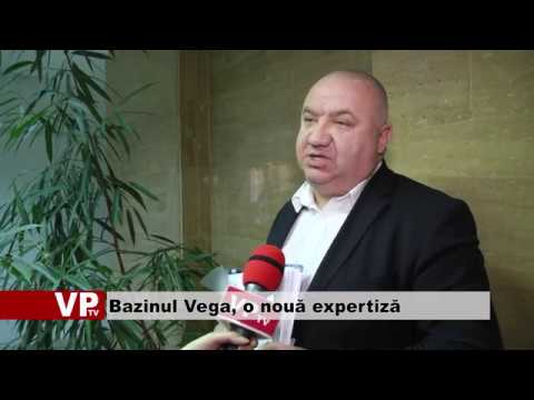 Bazinul Vega, o nouă expertiză