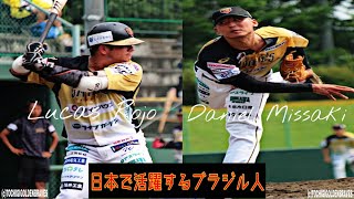 【インタビュー】栃木ゴールデンブレーブス　ブラジル人選手！ Daniel Missaki x Lucas Rojo