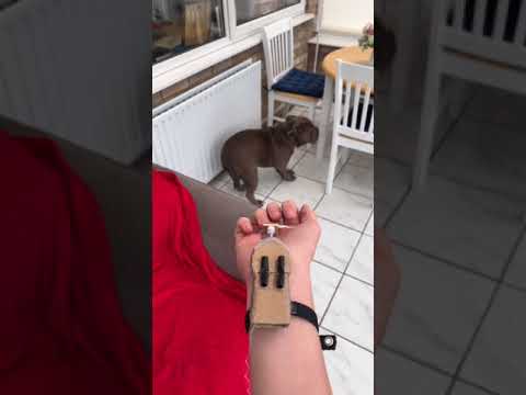 DIY REAL LIFE SPIDER-MAN WEB SHOOTER!