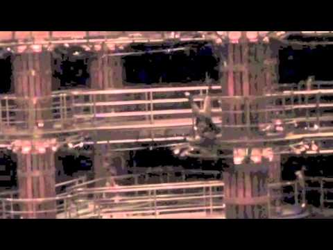 Marine DEBAUVE Demo 2012