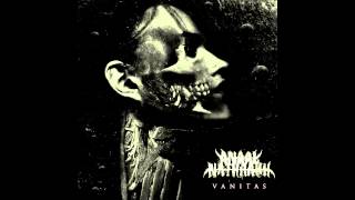 Anaal Nathrakh - You Can't Save Me, So Stop Fucking Trying