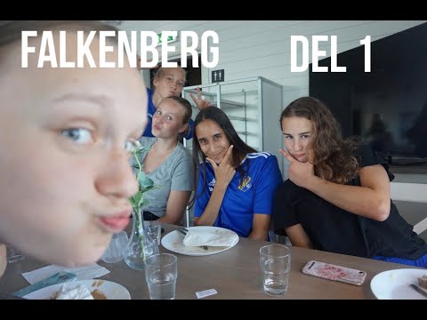 Falkenberg del 1