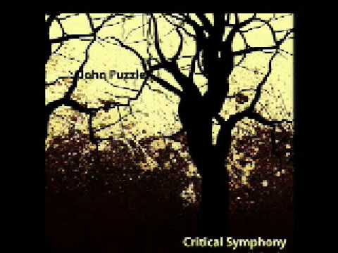 John Puzzle - Critical Symphony