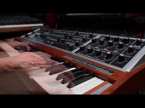 Moog  Memorymoog Plus (USA/1984) analogue programmable polyphonic synthesizer (100 memories) + MIDI + pro flightcase image 24