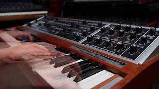 Video thumbnail for Moog Memorymoog - Rosen Sound Demo by Rosen Sound