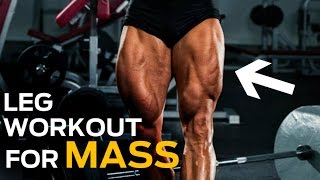 The 6 Best Leg Exercises You're Not Doing (Ultimate Leg Workout)