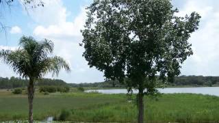preview picture of video 'Luxury Ocala Fl Waterfront Pool Home w/Room for a Horse'
