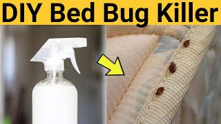 All Natural Bed Bug Killer Recipe with Vinegar to Get Rid Of Bed Bugs & Eggs Permanently On Mattress