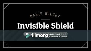 David Wilcox - Invisible Shield