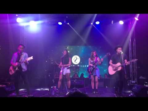 The Sam Willows