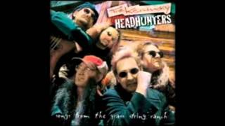 The Kentucky Headhunters; Back To The Sun