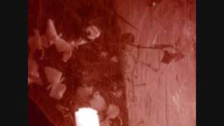 Corpses as Bedmates - Gus Black Box