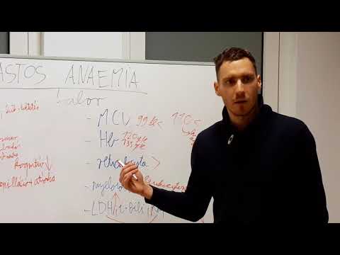 Megaloblastos anaemia - tünetek, laborleletek, diagnózis, kezelés 2/2