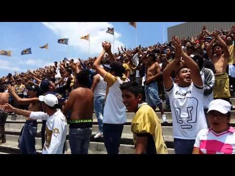 "La Rebel - Pumas de mi vida Pumas vs Dorados" Barra: La Rebel &bull; Club: Pumas
