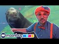 BLIPPI Blippi Visits An Aquarium Moonbug Kids Play And Learn