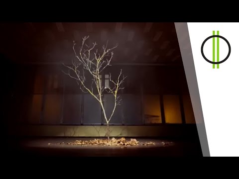 Molnár Tamás - új stílus!