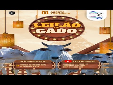 LEILÃO ALBERTO e MARTINS 01/08/2025 AS 18:00 hs em Cachoeira Alta Go.