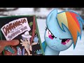 Rainbow Dash's Precious Book - Part 1 (MLP in real life)