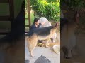 Hum Tumhe Chahte Hai Aise