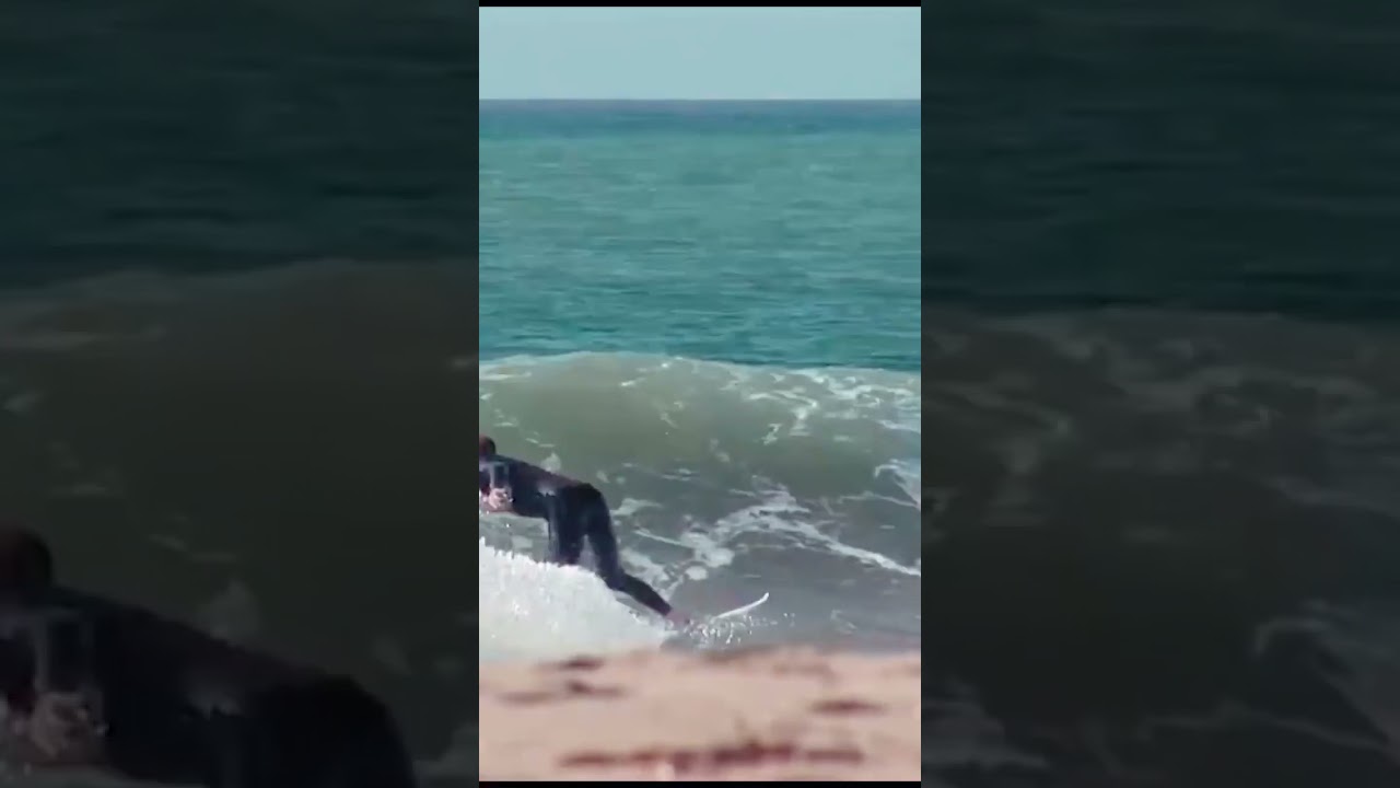 F/S Fin Release | Jeremy Ryan #shorts