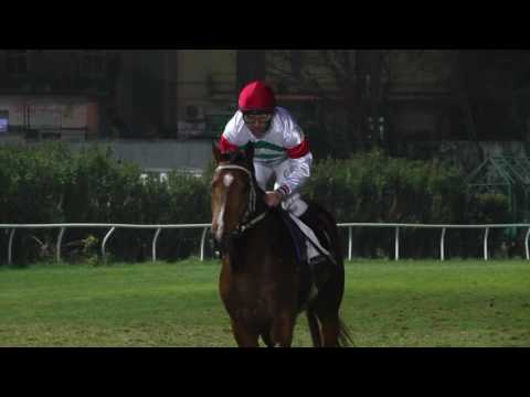 Agnano galoppo, Mister Vellucci, Fast Wind e Epsom nei 3 hp di gennaio.