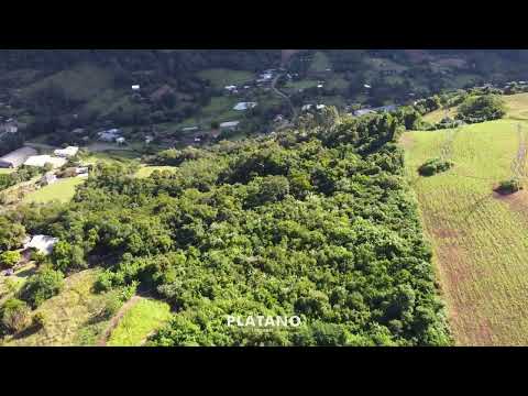 CHÁCARA / SÍTIO, 30809M² ÁREA TOTAL para venda EM CENTRO