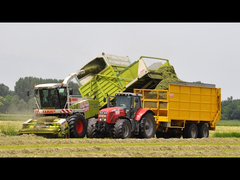 Claas Jaguar 900 Fieldshuttle - Loonwerken De Bruyne - gras hakselen