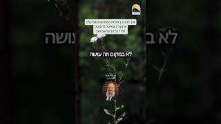 פרוייקט השו"ת | כיצד להגיב לאנשים שמציקים לנו ᴴᴰ