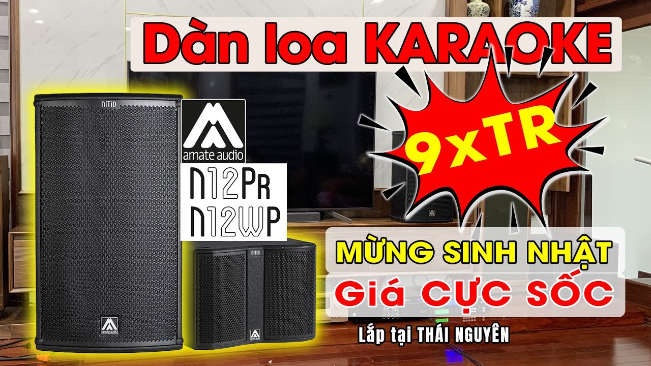 [ SALE SINH NHẬT ] Dàn Loa Karaoke AMATE N12PR - Lắp tại Thái Nguyên