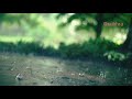 Zara Zara Status Rainy Song